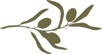 Olive Icon
